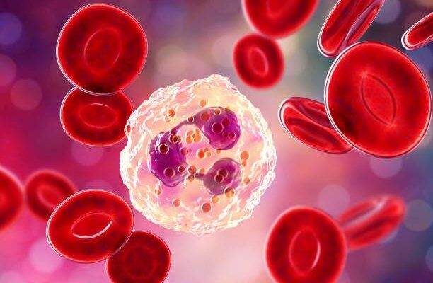 Nötrofil kan sayımı testi neden yapılır?